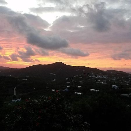 Caribbean Splendor With Million Dollar Views Villa Christiansted Eksteriør billede